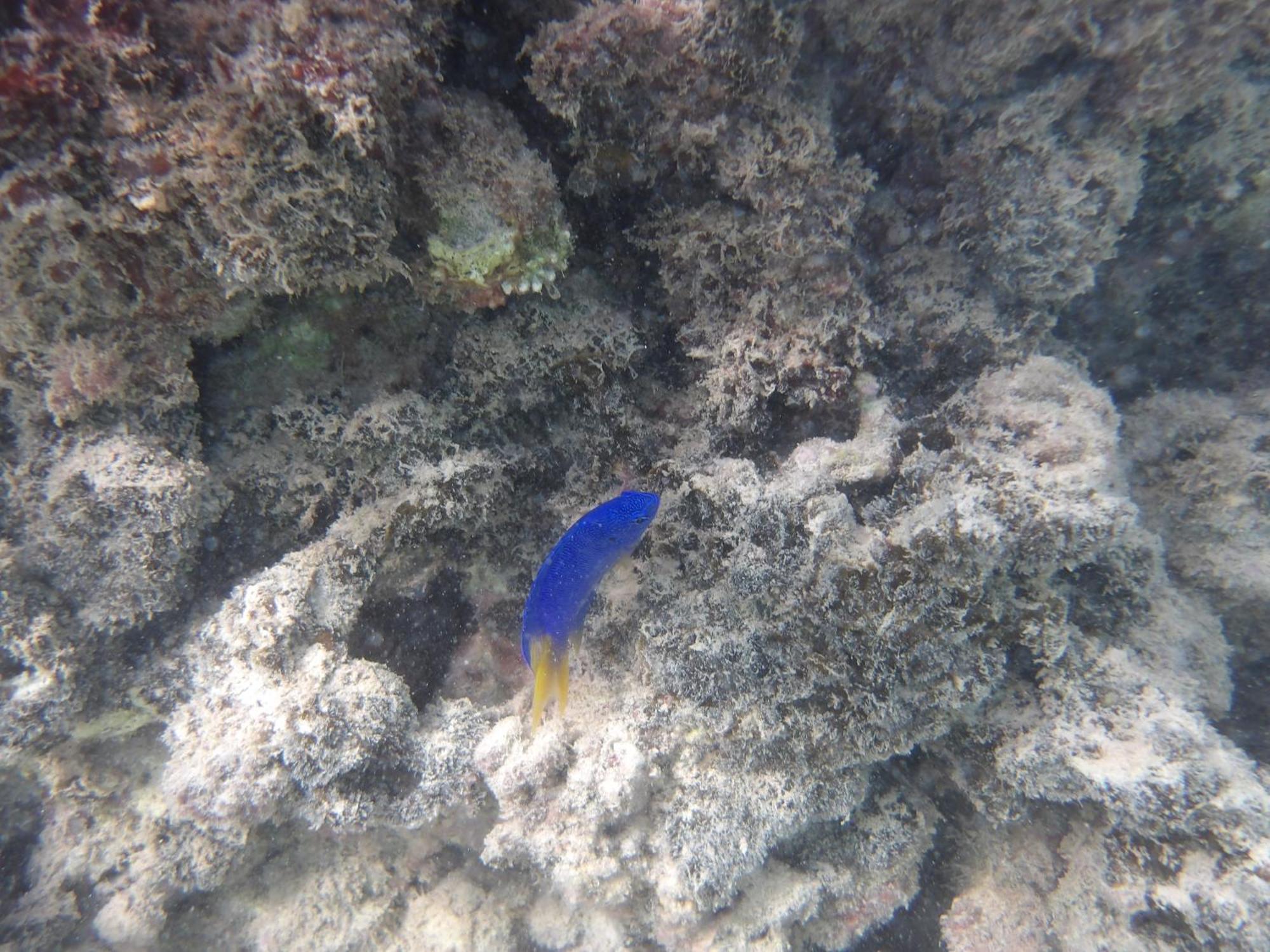 Catamaran Amaya - Sejour Insolite Sur Le Lagon De Moorea Hauru Εξωτερικό φωτογραφία